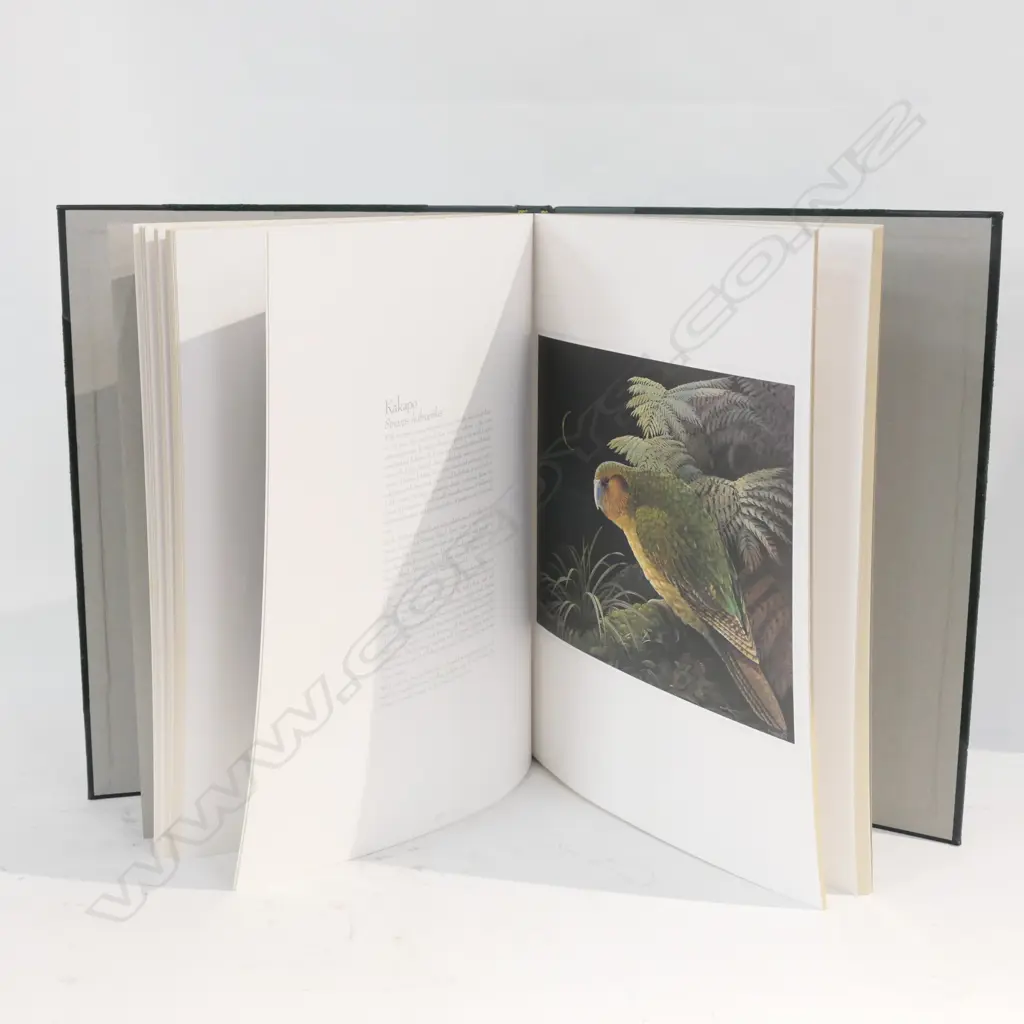 'THE 50 RAREST BIRDS OF THE WORLD' BY BLAKE L TWIGDEN OSBOURNE INTERNATIONAL 1991 2000 COPIES Image 1++