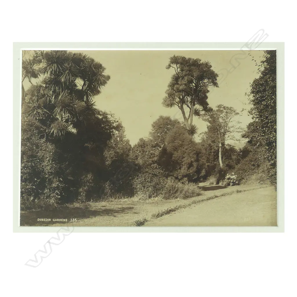 Two vintage silver gelatin photograph prints Image 1++