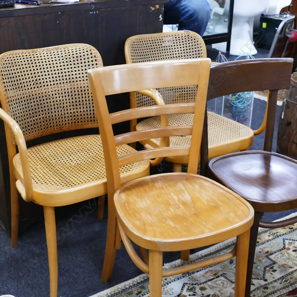 4 HARLEQUIN BENTWOOD CHAIRS Image 1++