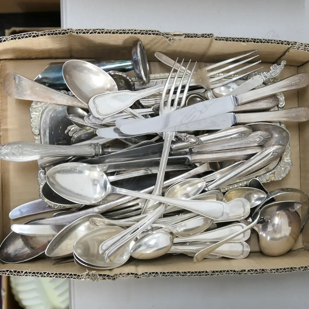 LOT ASST EP - TRAY/CUTLERY ETC Image 1++