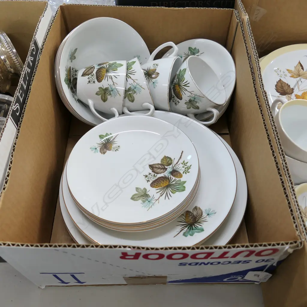 24 PCE ALFRED MEAKIN 'PINEWOOD' Image 1++