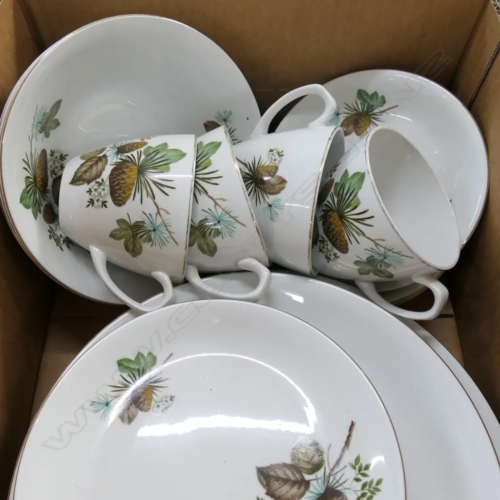 24 PCE ALFRED MEAKIN 'PINEWOOD' Image 1++