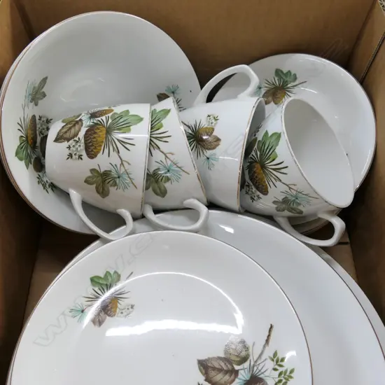 24 PCE ALFRED MEAKIN 'PINEWOOD'