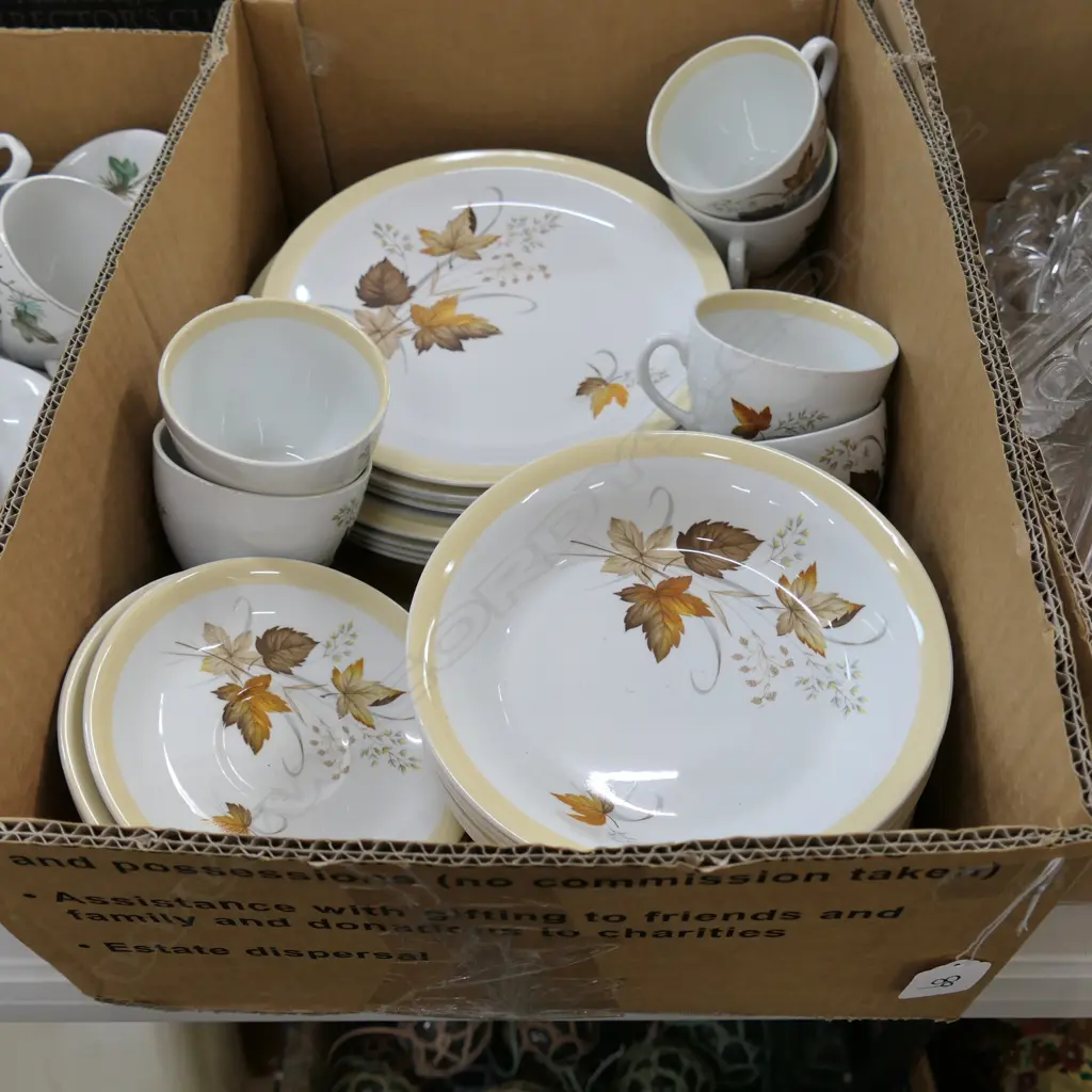 30 PCE ALFRED MEAKIN 'AUTUMN GLORY' Image 1++