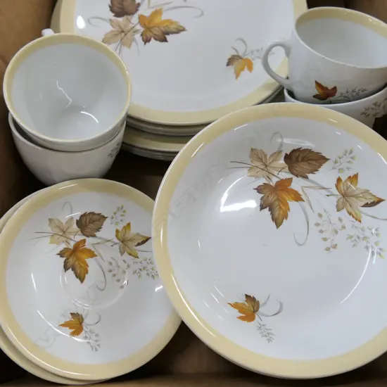 30 PCE ALFRED MEAKIN 'AUTUMN GLORY'