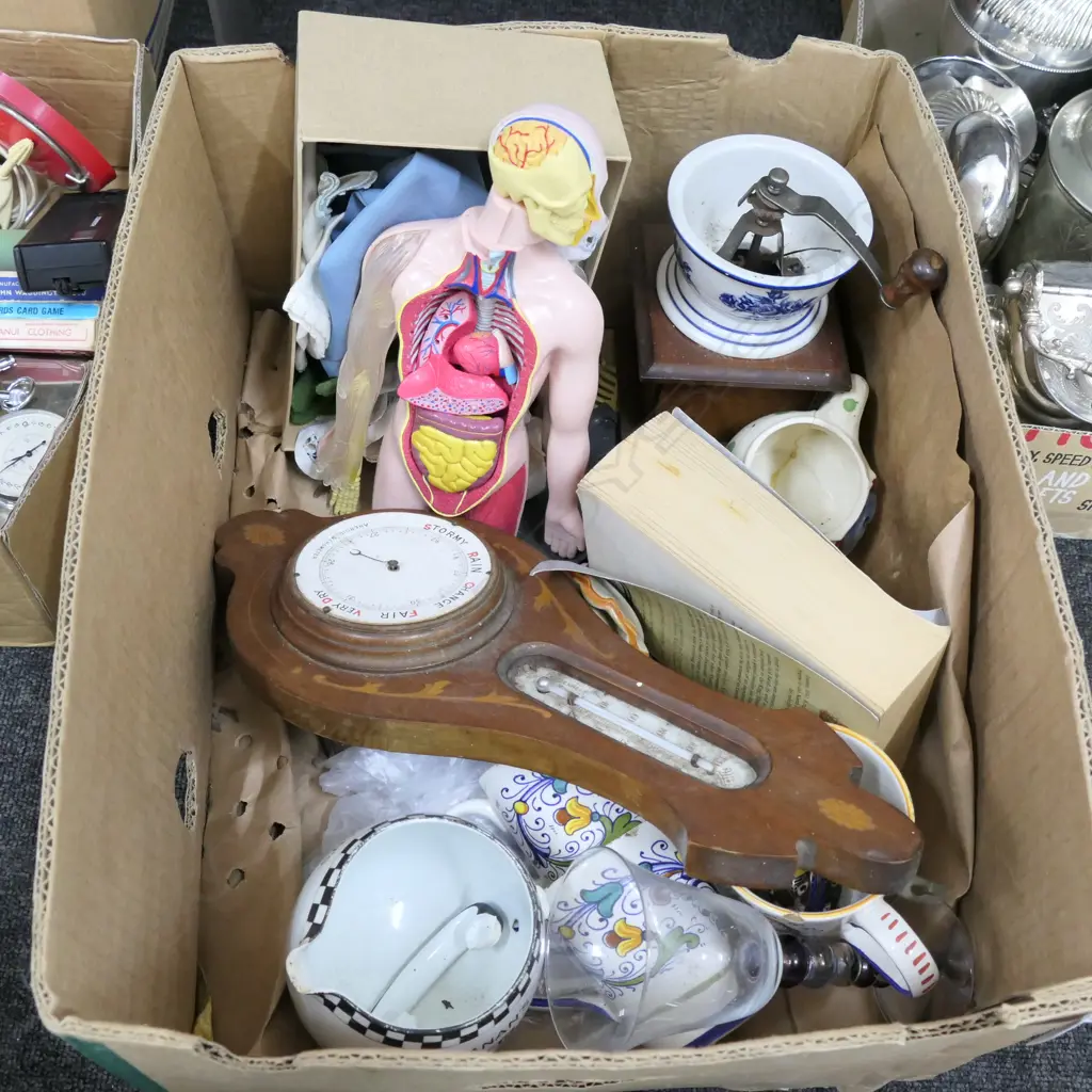 BOX MISC. INCL. ANATOMICAL FIGURE Image 1++