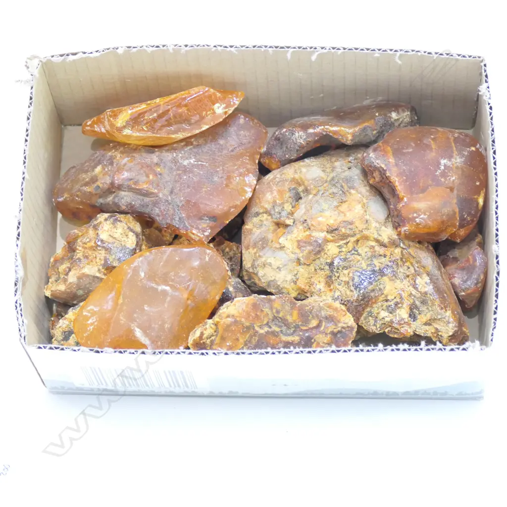 LOT ASST KAURI GUM NUGGETS Image 1++