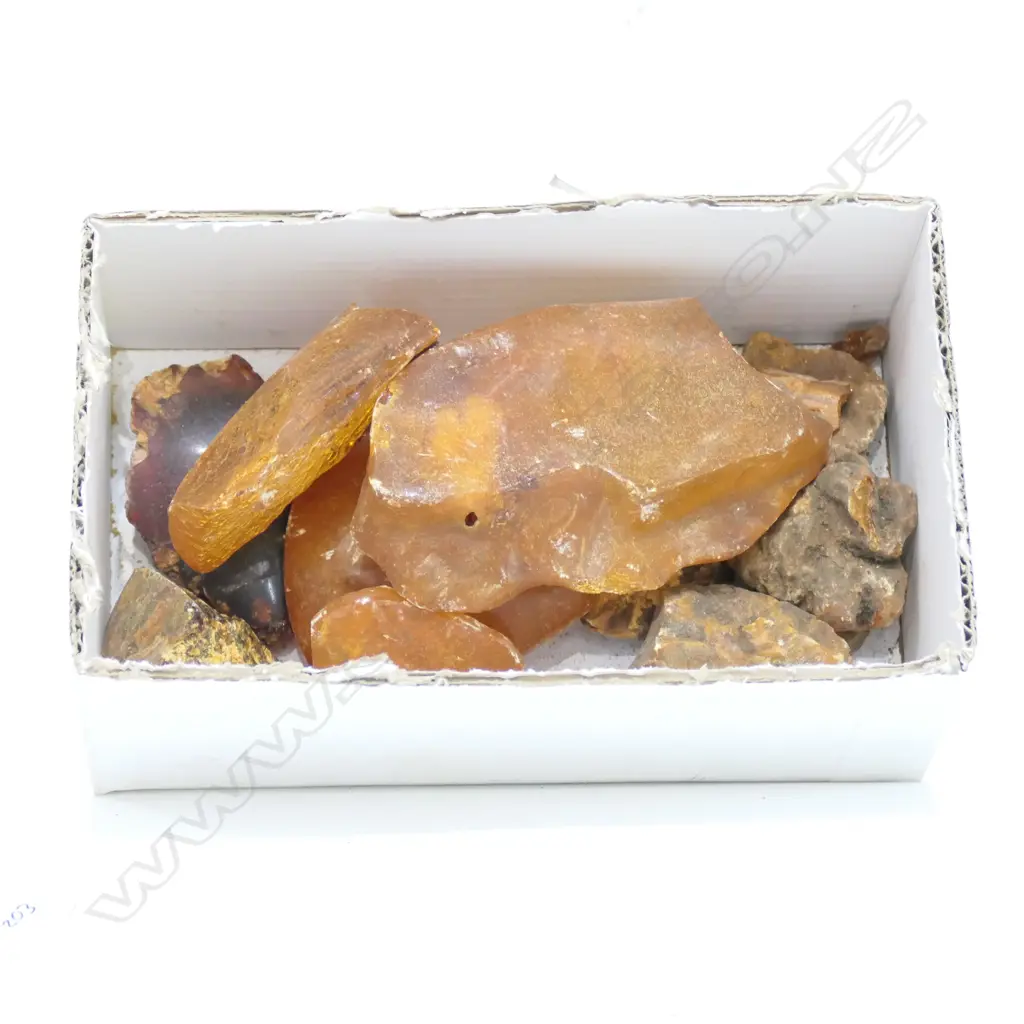 LOT ASST KAURI GUM NUGGETS Image 1++