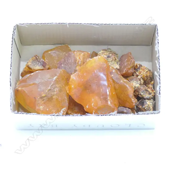 LOT ASST KAURI GUM NUGGETS