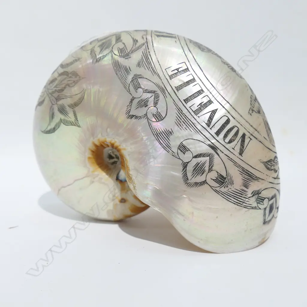 (18750) SCRIMSHAW NAUTILUS SHELL 'NOUVELLE... Image 1++