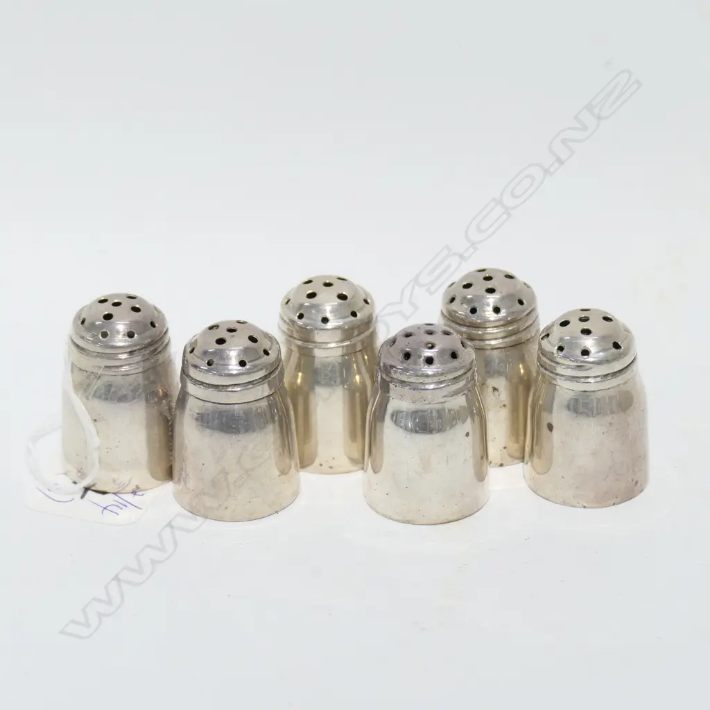 6 STG SILVER SALT ANS PEPPERS Image 1++