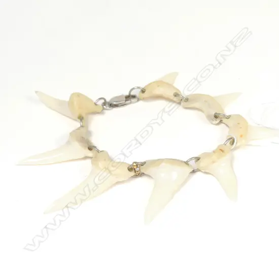 Vintage sterling silver and sharks tooth bracelet