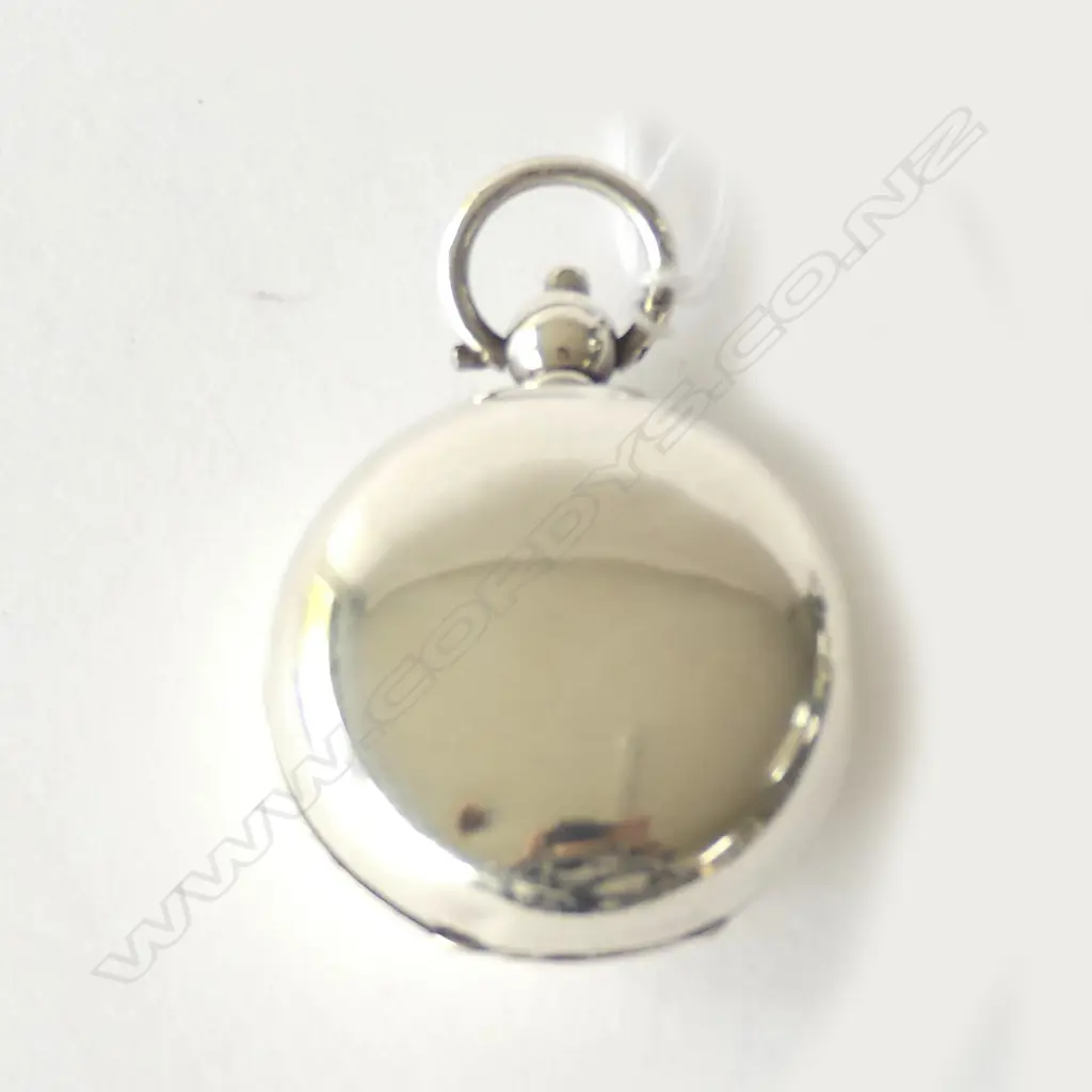 EDWARDIAN SILVER SOVEREIGN CASE Image 1++