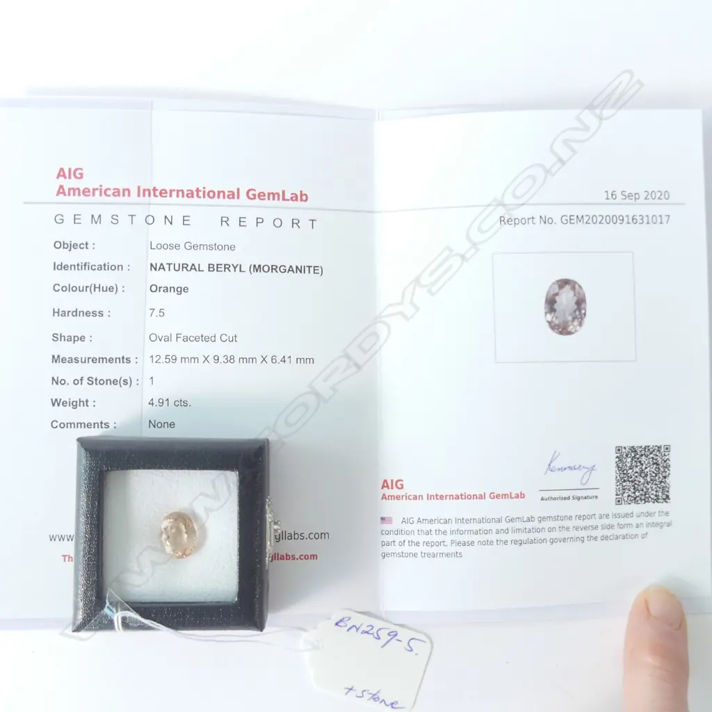 MORGANITE OVAL STONE + AIG REPORT Image 1++