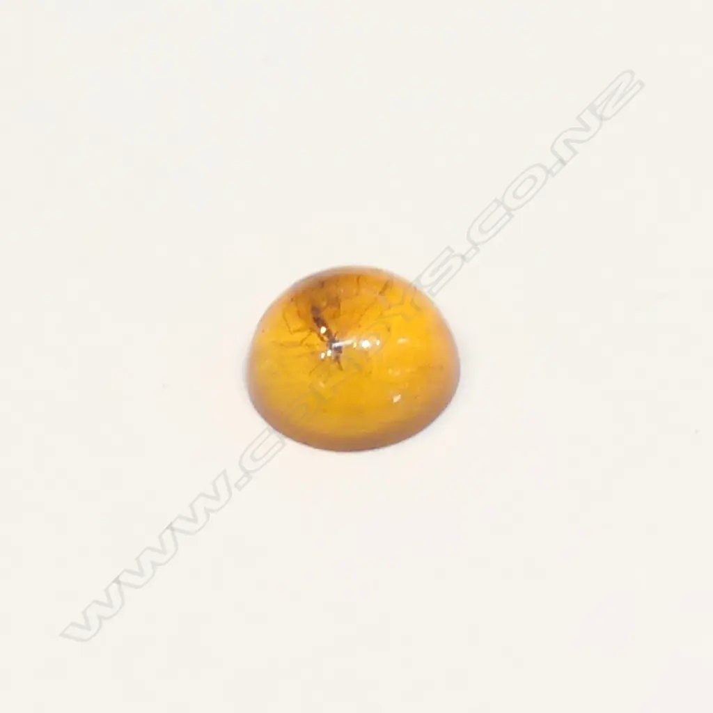 AMBER CABOCHON WITH INSECT INCLUSION Image 1++