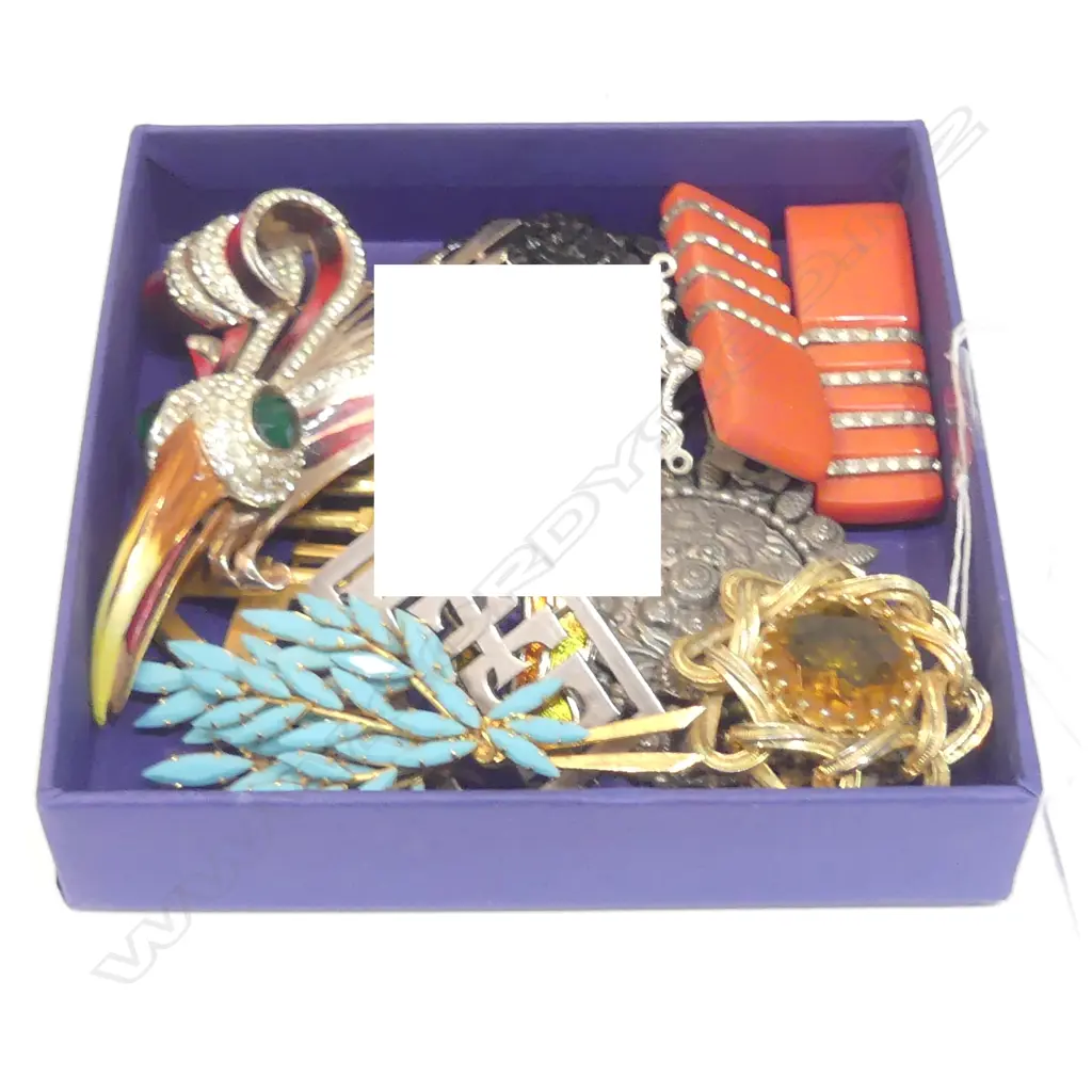 BOX COSTUME JEWELLERY/ BROOCHES ETC Image 1++