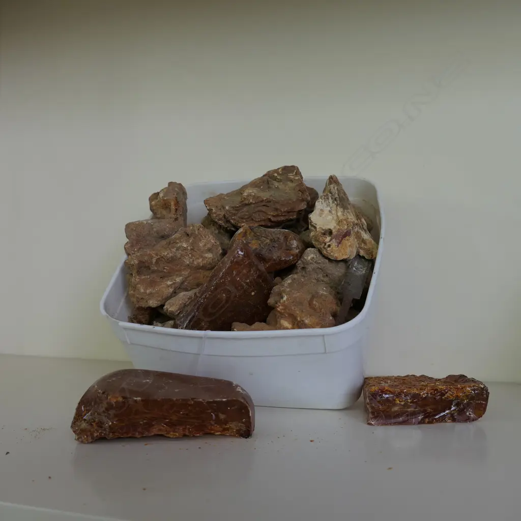 LOT ASST KAURI GUM Image 1++