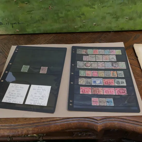 SIX FOLIOS OF RARE SOUTH AFRICAN & RHODESIAN  STAMPS