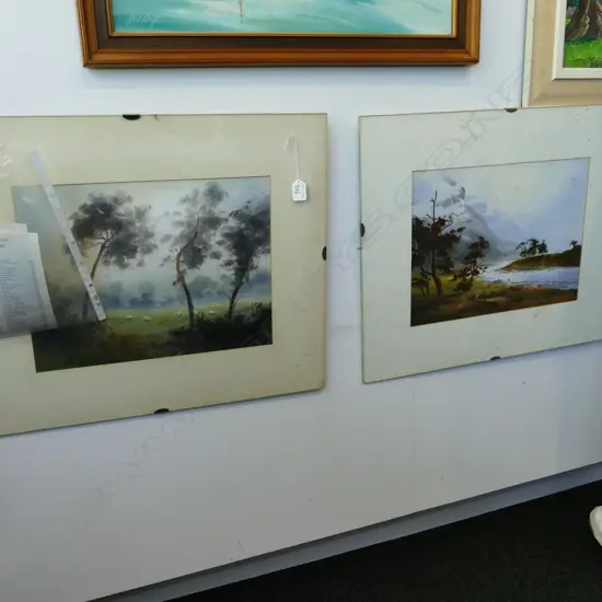 2 MARIANO ORTUZAR WATERCOLOURS 'PARADISE VALLEY' & RURAL LANDSCAPE, 300 x 410mm EACH. GLASS MOUNTED 