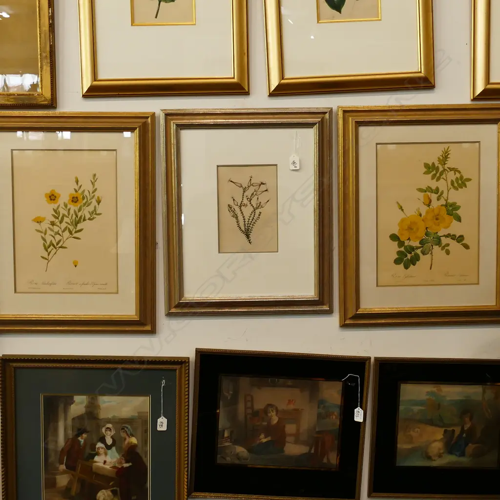 3 FLORAL BOTANICAL PRINTS GILT FRAMED Image 1++
