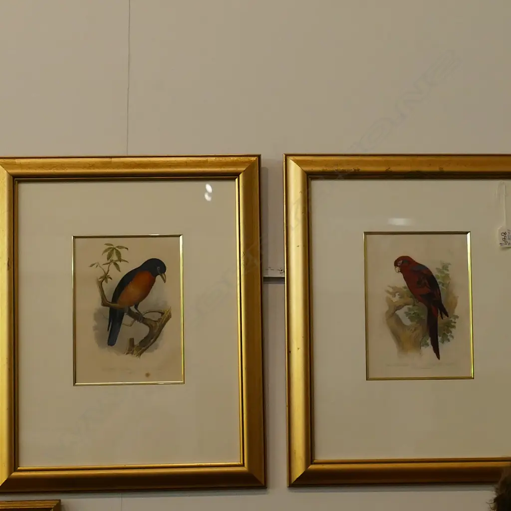 PR ORNITHELOGICAL PRINTS GILT FRAMED Image 1++