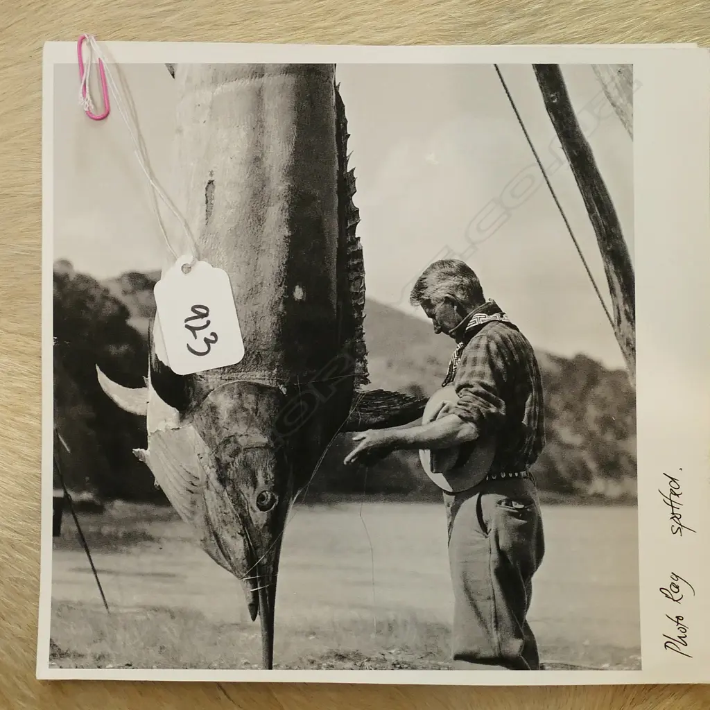 PR PHOTOGRAPHS OF FISHERMAN W/ MARLIN CATCH - ON RAG PAPER 190 X 180.  Image 1++