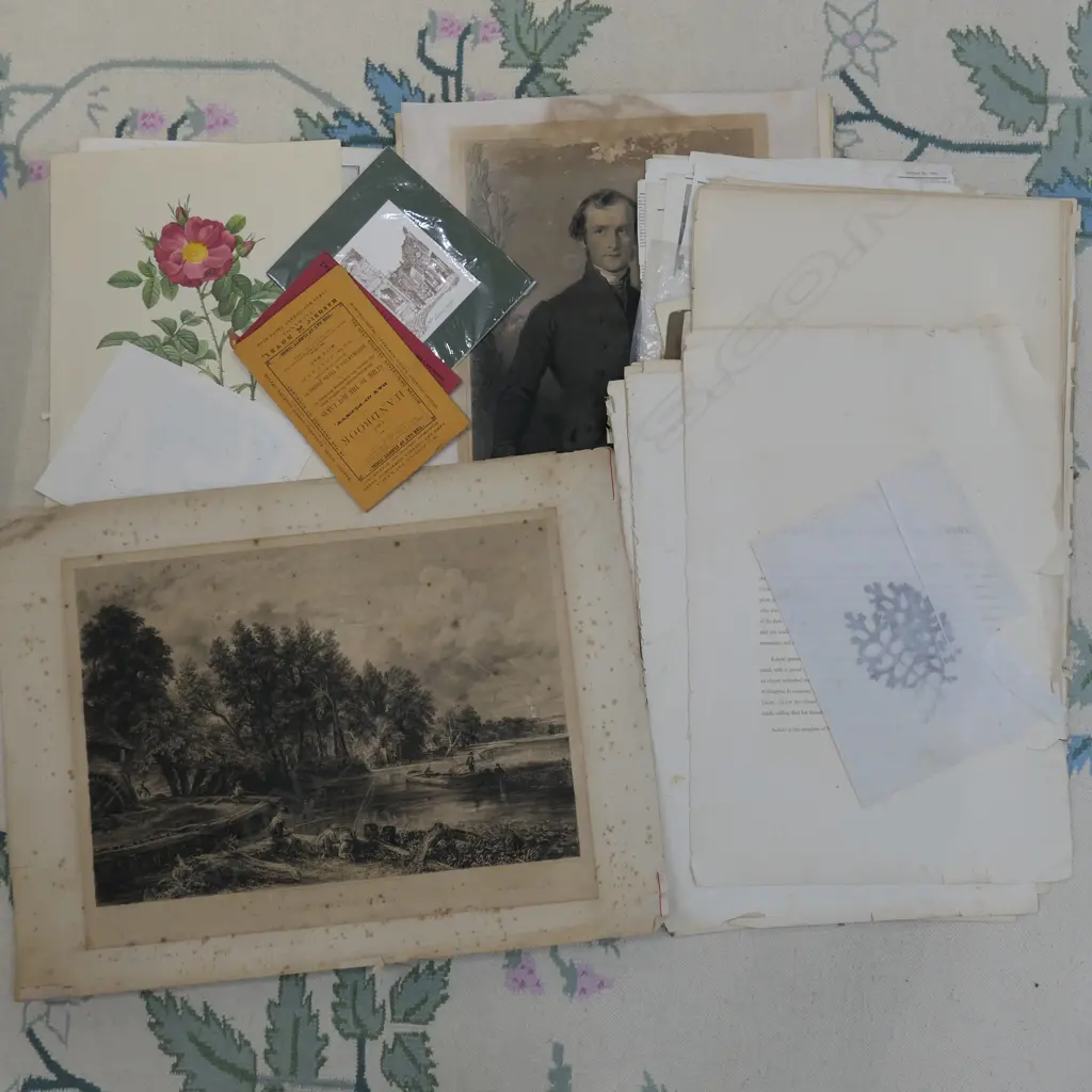 LARGE LOT ASST EARLY NEW ZEALAND PRINTED EPHEMERA ETC. MAPS, ANGAS' NEW ZEALANDERS ILLUSTRATED TEXT PAGES ETC Image 1++