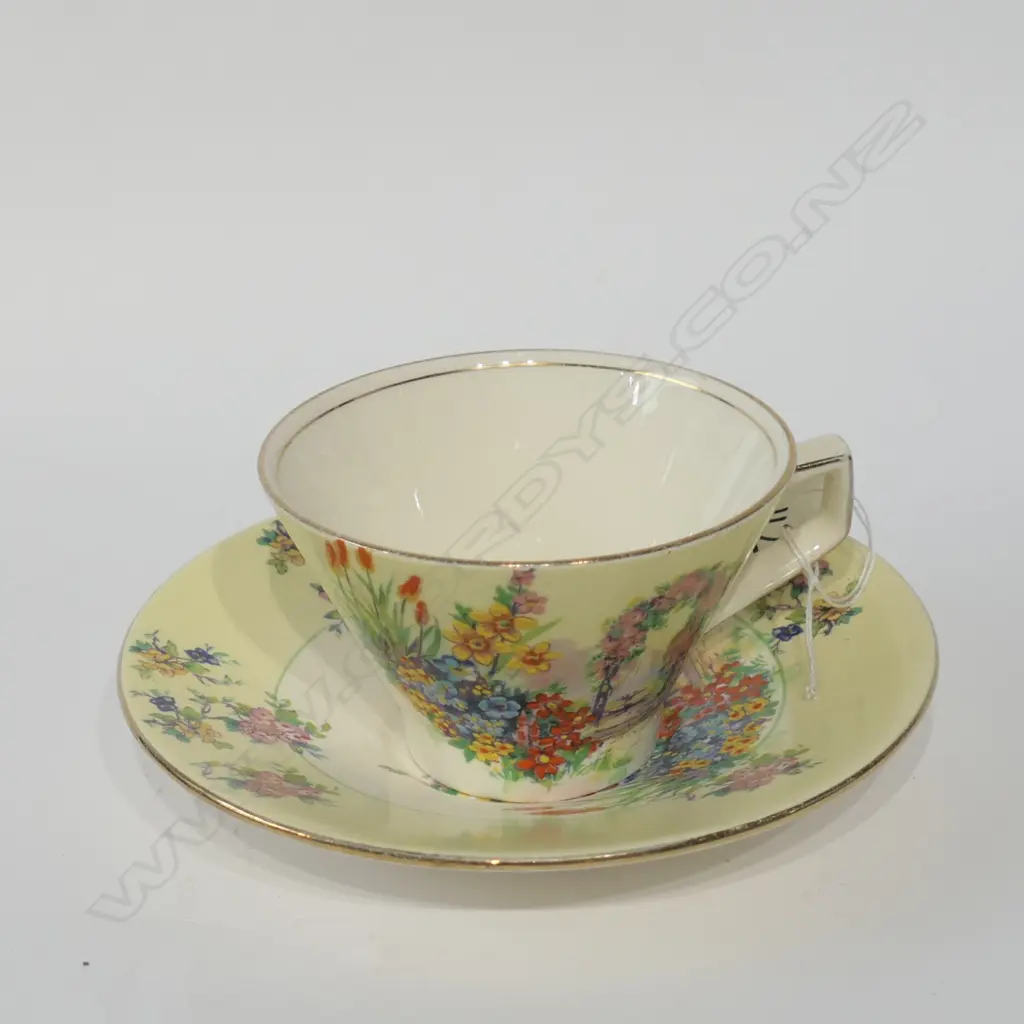 ROYAL WINTON IVORY CUP AND SAUCER Image 1++