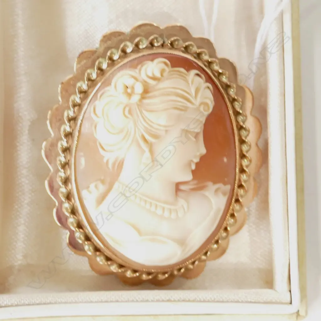 9CT CAMEO BROOCH Image 1++