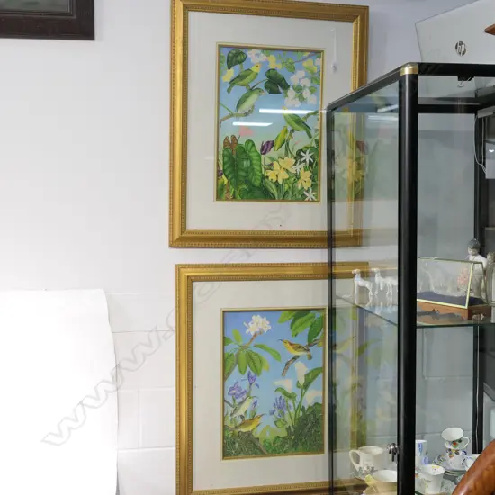  PR WATERCOLOUR(?) ORNITHOLOGICAL STUDIES BY JOEL CARSON - ONE GLASS A/F 500 X 350