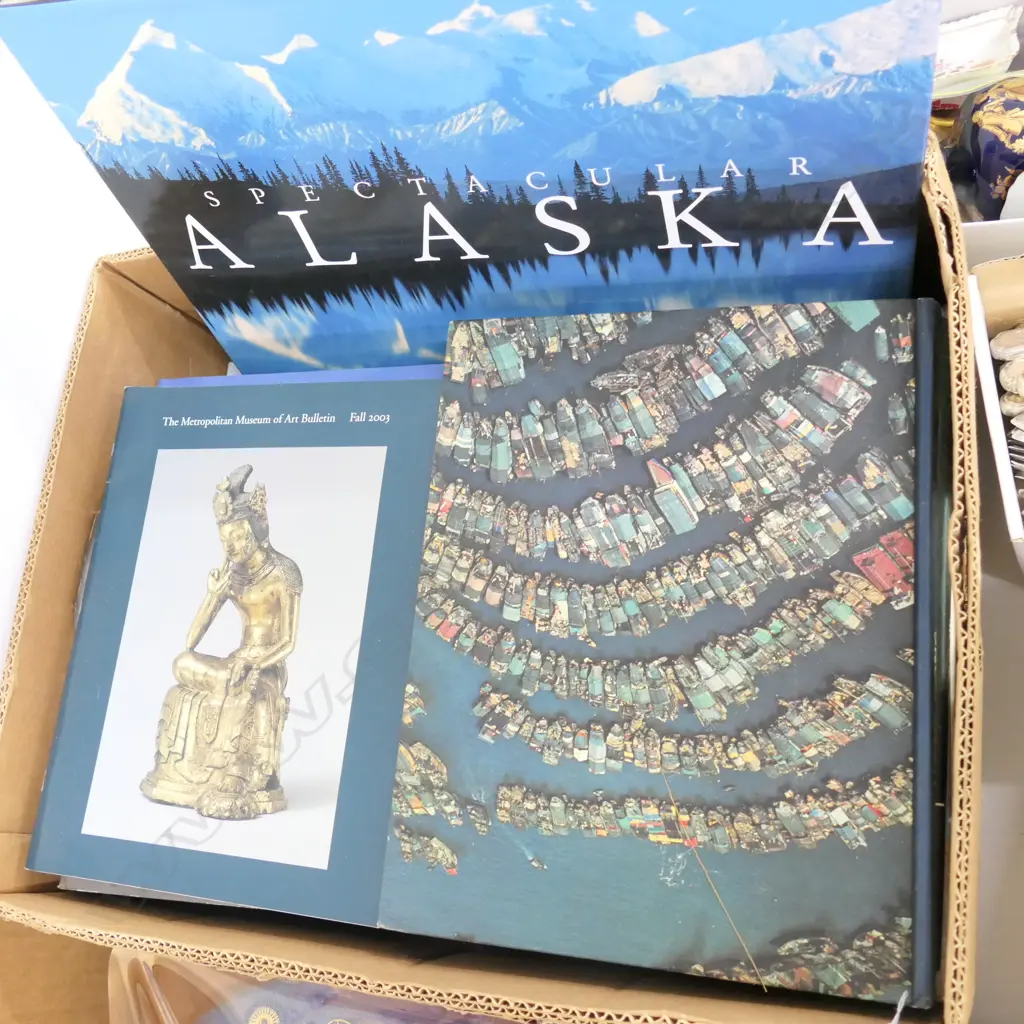 BOX OF BOOKS Image 1++