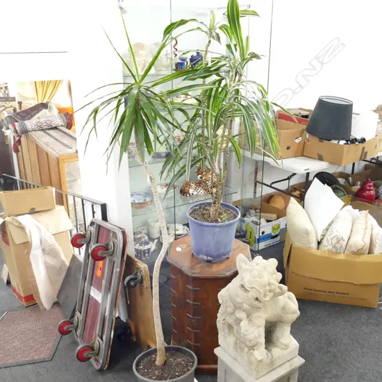 PONYTAIL POTTED PLANT & OTHER