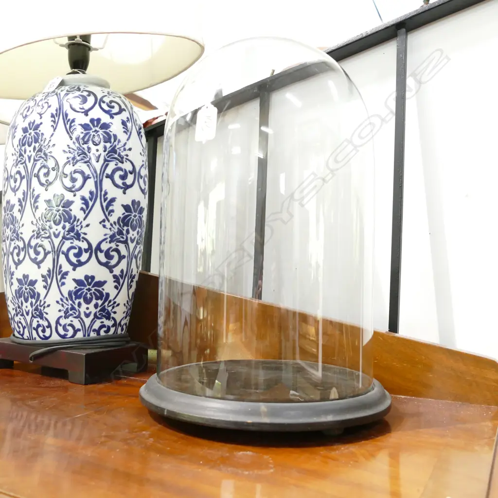 VINTAGE GLASS DISPLAY DOME ON EBONISED ROUND BASE Image 1++