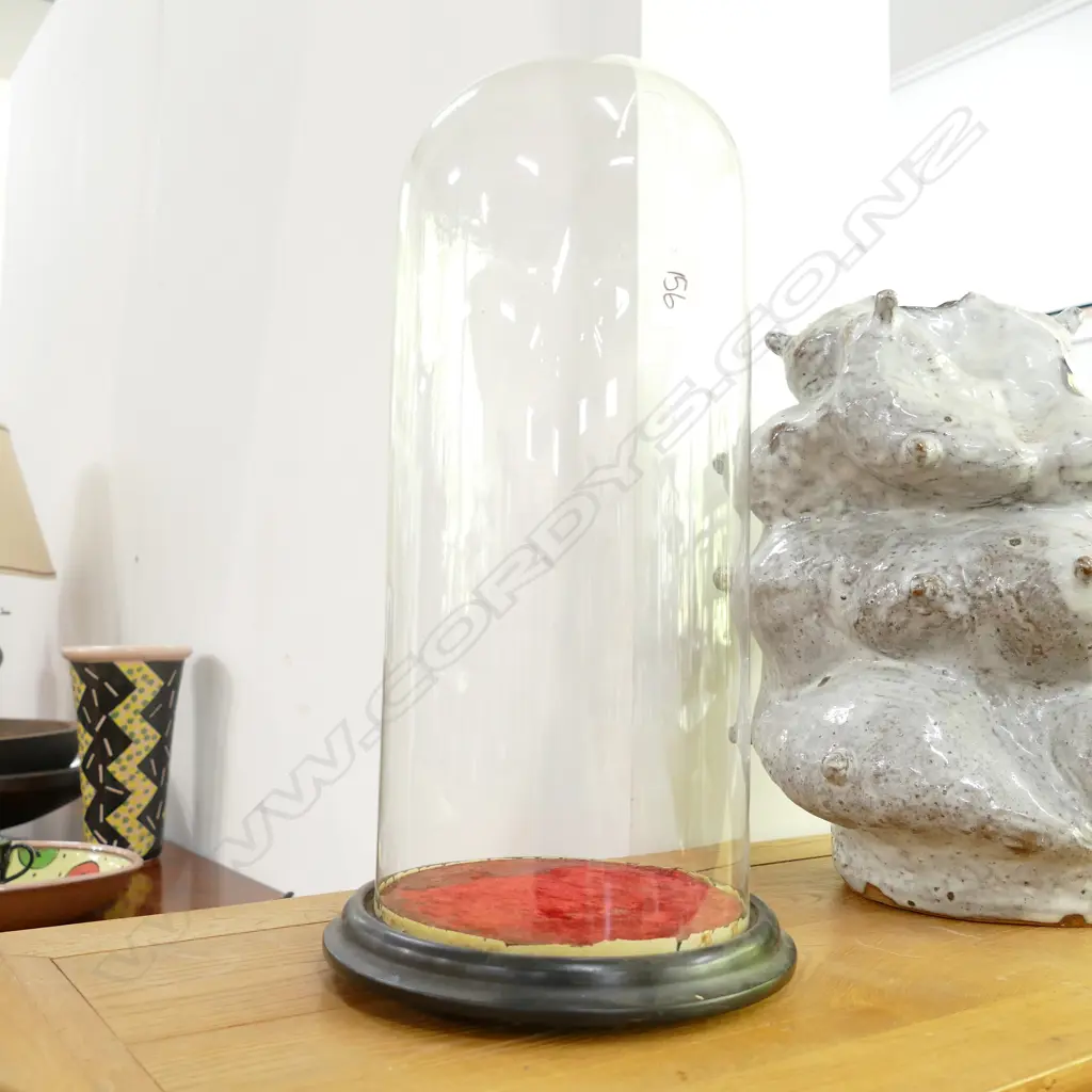 VINTAGE GLASS DISPLAY DOME ON EBONISED ROUND BASE Image 1++