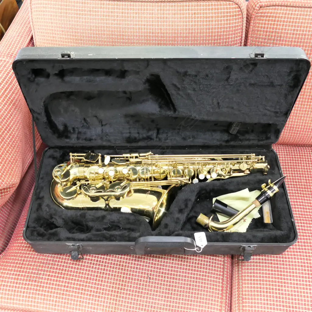 SAXOPHONE IN CASE 620MM L Image 1++