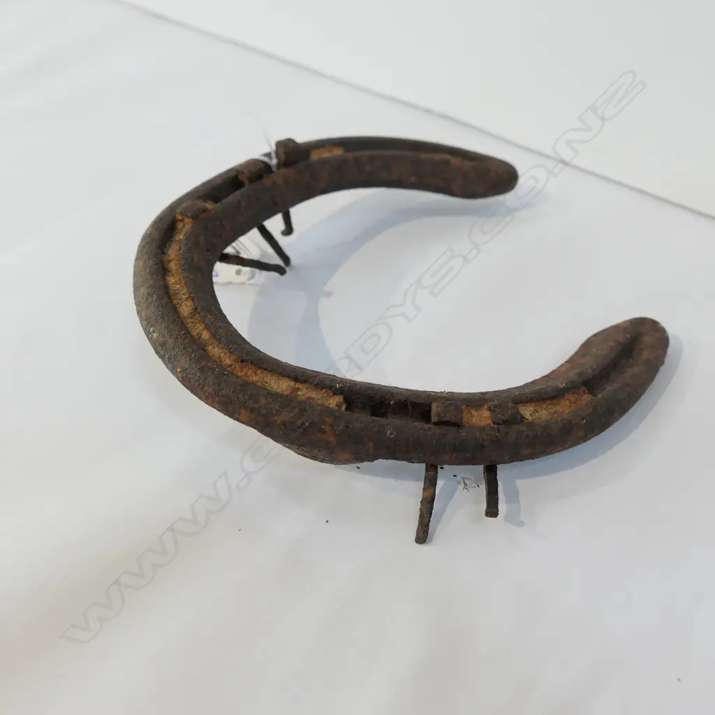 CARDIGAN BAY HORSE SHOE FROM OWNERS HOUSE Image 1++