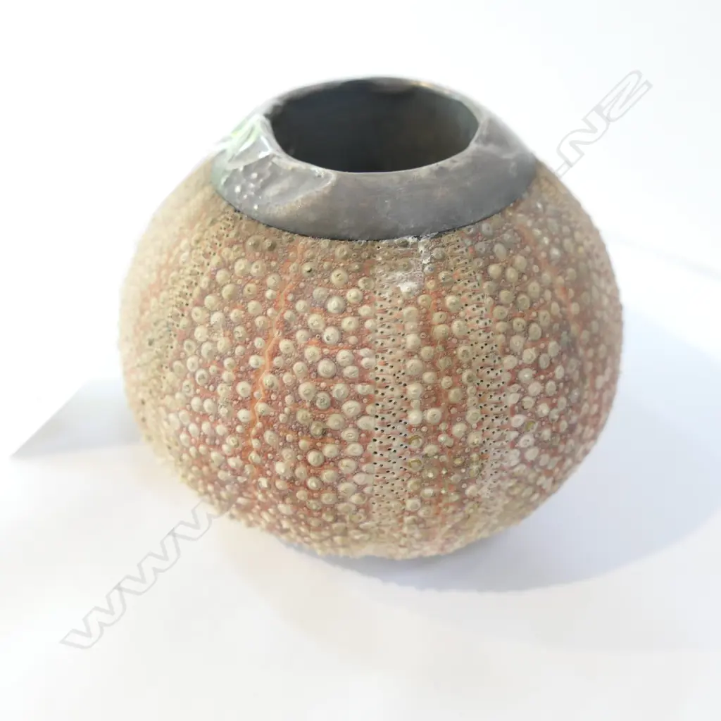 EDW SILVER MOUNTED SEA URCHIN INKWELL.... Image 1++