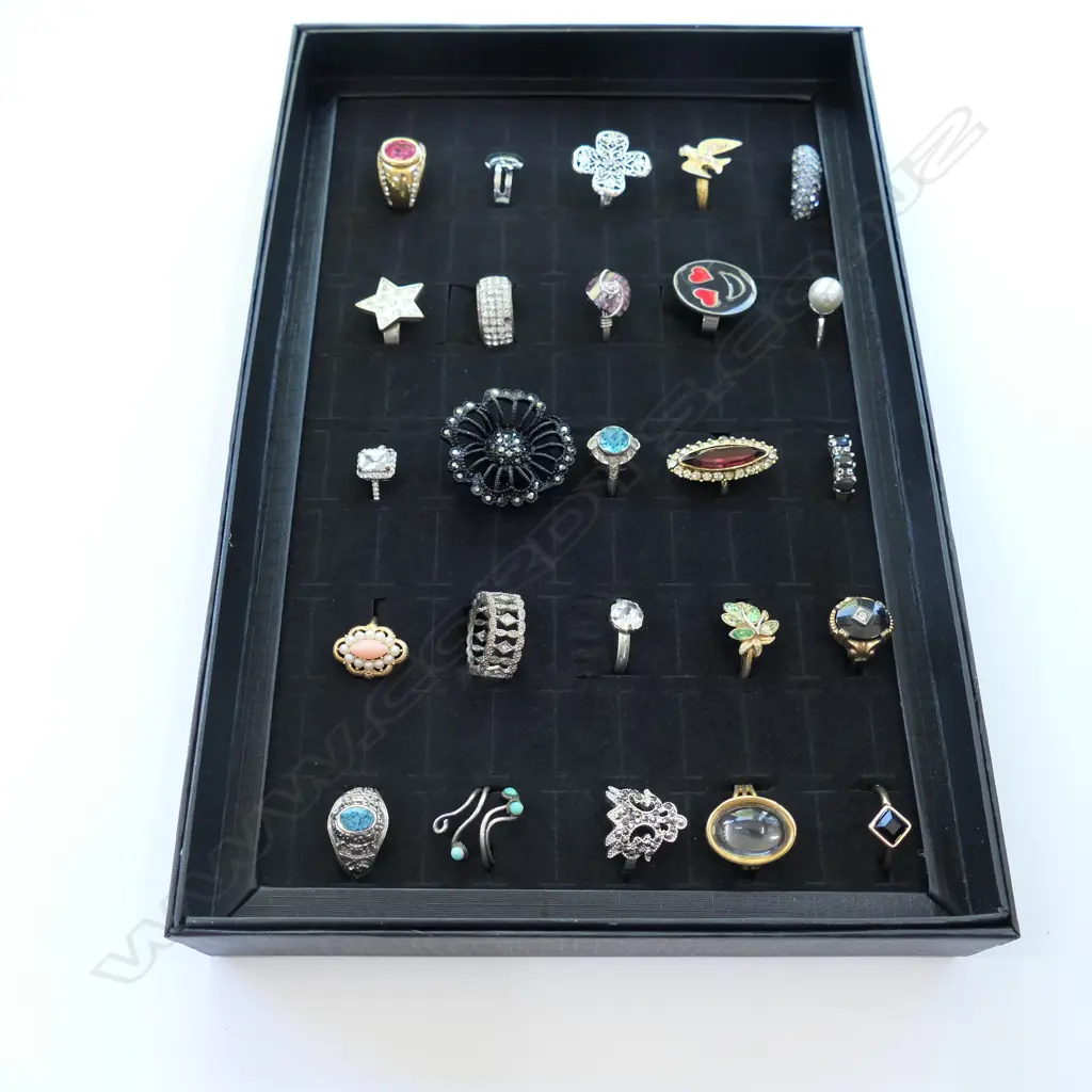 DISPLAY BOX WITH 25 COSTUME RINGS  Image 1++