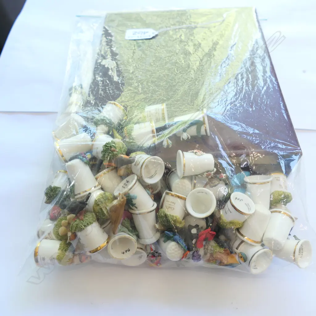 LOT ASST CERAMIC THIMBLES & COLLECTION NOTES Image 1++