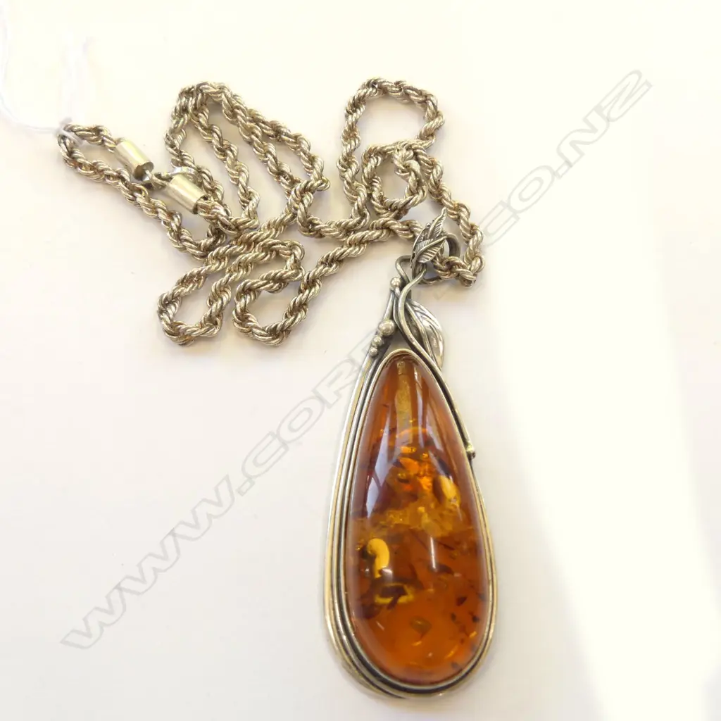 ST CHAIN AND AMBER PENDANT GAVAN RILEY NZ Image 1++