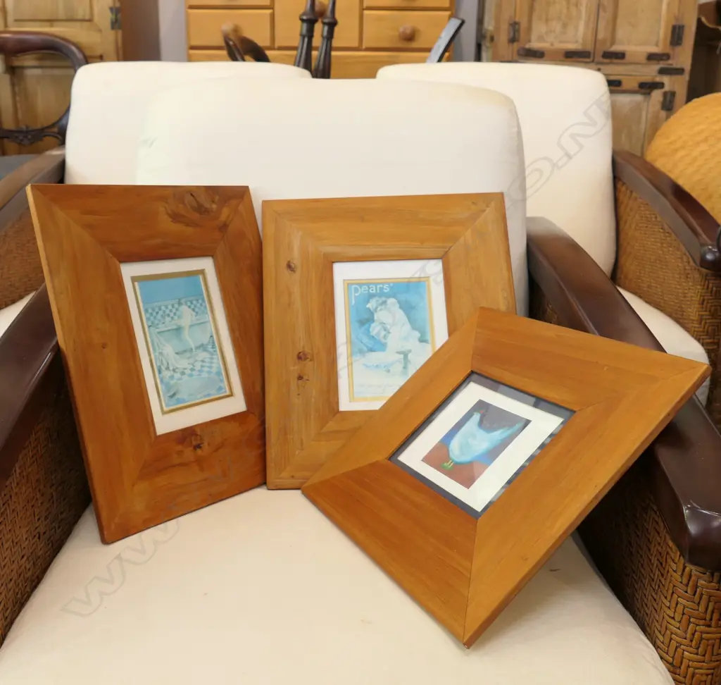 2 PEARS KAURI FRAMED PRINTS + 1 OTHER Image 1++