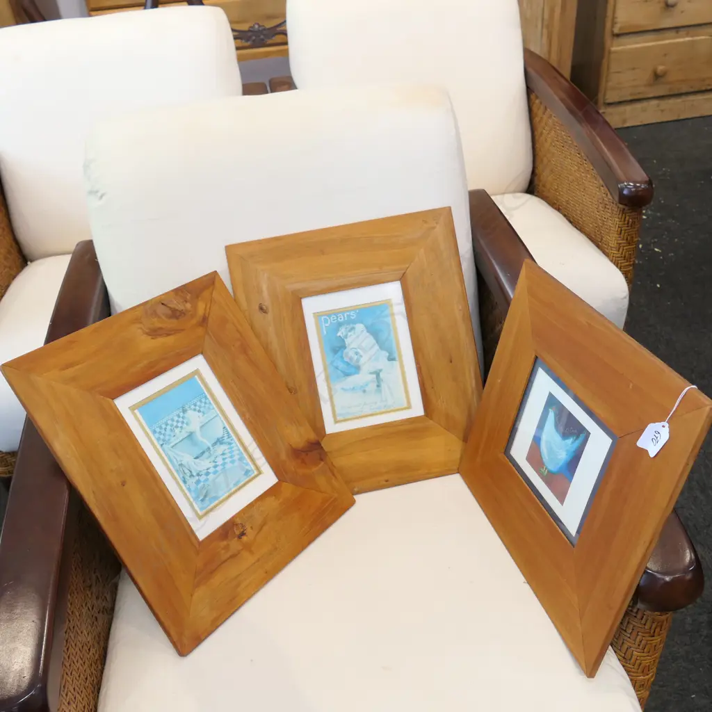 2 PEARS KAURI FRAMED PRINTS + 1 OTHER Image 1++