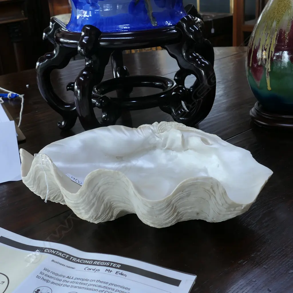 RESIN CLAM SHELL Image 1++