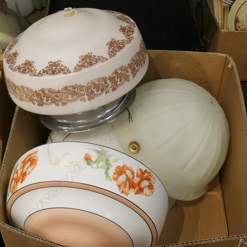 BOX LOT FROSTED LIGHT SHADES Image 1++