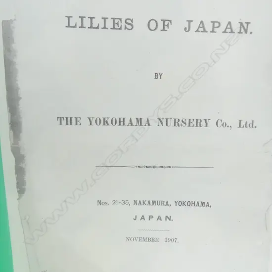 By The Yokohama Nursery Co. Ltd.1907. Individual pages in loose leaf folder. This particular group of plates is from the 1907 catalogue. The vendor's family ran a specialist nursey in Kerikeri