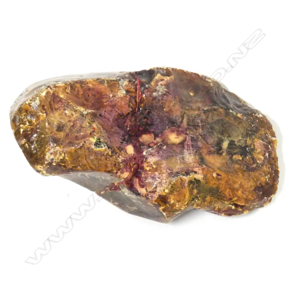 A large kauri gum boulder Image 1++