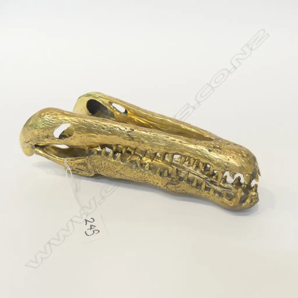 BRASS MODEL CROCODILE SKULL L.225mm Image 1++