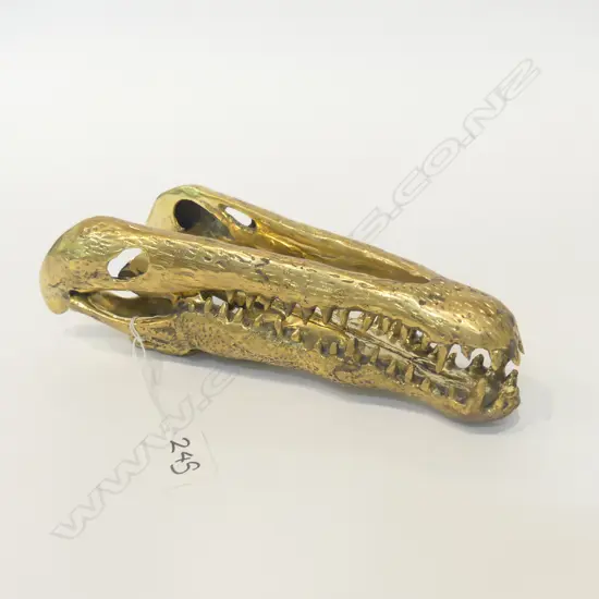 BRASS MODEL CROCODILE SKULL L.225mm