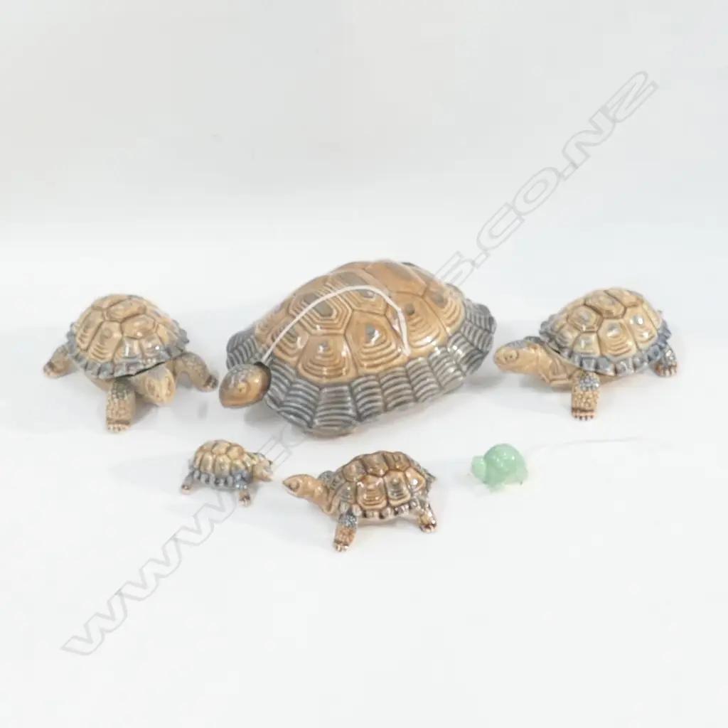 SET OF FIVE WADE GRADUATED LIDDED TURTLES (LARGEST 170MM) + SM CRYSOPHASE TURTLE, Image 1++