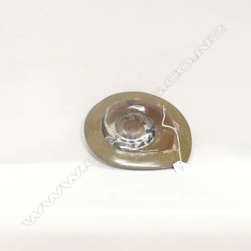 LARGE AMMONITE FOSSIL Image 1++